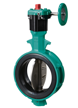 Butterfly Valve